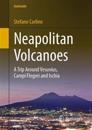 Neapolitan Volcanoes