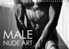 Male Nude Art 2019