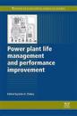 Power Plant Life Management and Performance Improvement