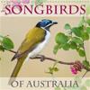 Songbirds of Australia 2019