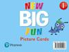 New Big Fun - (AE) - 2nd Edition (2019) - Picture Cards - Level 1