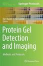 Protein Gel Detection and Imaging
