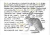 Jackie Morris The Names of the Hare Poster
