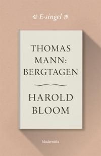 Thomas Mann: Bergtagen