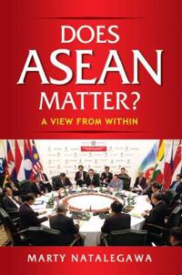 Does ASEAN Matter?