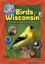 The Kids' Guide to Birds of Wisconsin