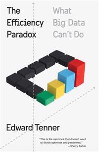 The Efficiency Paradox: What Big Data Can't Do
