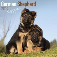 German shepherd puppies calendar 2019