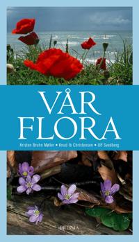 Vår flora : Fanerogamer