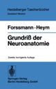 Grundriß der Neuroanatomie