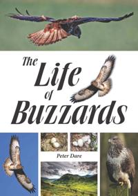 Life of Buzzards