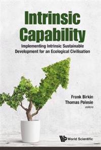 Intrinsic Capability: Implementing Intrinsic Sustainable Development For An Ecological Civilisation