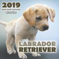 Labrador Retriever 2019 Mini Wall Calendar (UK Edition)