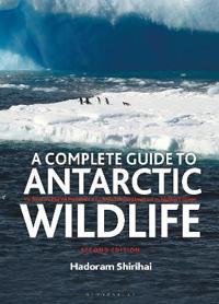 A Complete Guide to Antarctic Wildlife