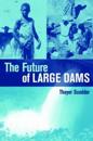 The Future of Large Dams