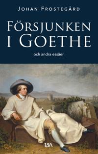 Försjunken i Goethe och andra essäer