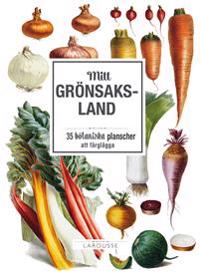 Mitt grönsaksland: 35 botaniska planscher att färglägga