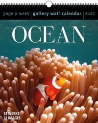 Ocean Page-A-Week Gallery Wall Calendar 2020