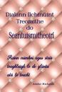 Dialann Ilchinuint Treoraithe do Seantuismitheoiri