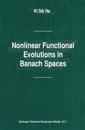 Nonlinear Functional Evolutions in Banach Spaces