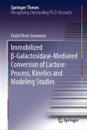 Immobilized ß-Galactosidase-Mediated Conversion of Lactose: Process, Kinetics and Modeling Studies
