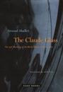The Claude Glass