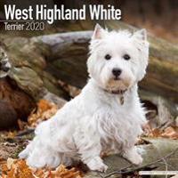 West Highland White Terrier Calendar 2020