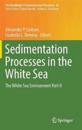 Sedimentation Processes in the White Sea