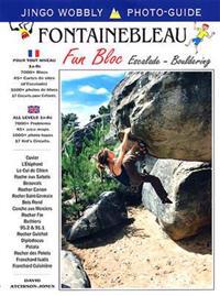 Fontainebleau fun bloc - escalade - bouldering