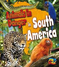 Animals in Danger in South America
