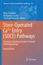 Store-Operated Ca²? Entry (SOCE) Pathways