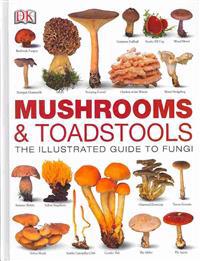 Mushrooms & Toadstools