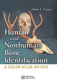 Human and Nonhuman Bone Identification