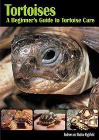 Tortoises Beginners GT Tortoise Care: How to Set Up a Home for a New Tortoise and Provide It the Best Possible Care