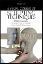 A visual Course of Sculpting techniques