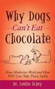 Why Can't Dogs Eat Chocolate
