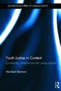 Youth Justice in Context