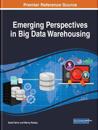 Emerging Perspectives in Big Data Warehousing