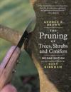 Pruning of Trees, Shrubs and Conifers