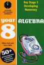 Algebra: Year 8
