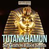 Tutankhamun - The Discovery of His Tomb