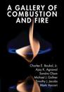 A Gallery of Combustion and Fire