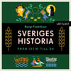 Sveriges historia – Från istid till EU / Lättläst