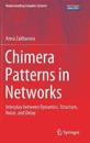 Chimera Patterns in Networks