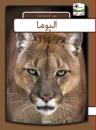Puma - arabisk