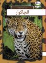 Jaguar - arabisk