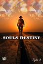 Souls Destiny