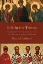 Life in the Trinity – An Introduction to Theology with the Help of the Church Fathers