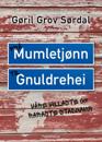 Frå Mumletjønn til Gnuldrehei; våre villaste og raraste stadnamn