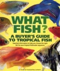 What fish? - a buyers guide to tropical fish